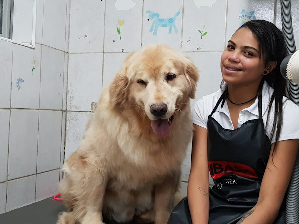 Foto 4 Veterinária Pet Amigo - Dra. Pao Kay Wu