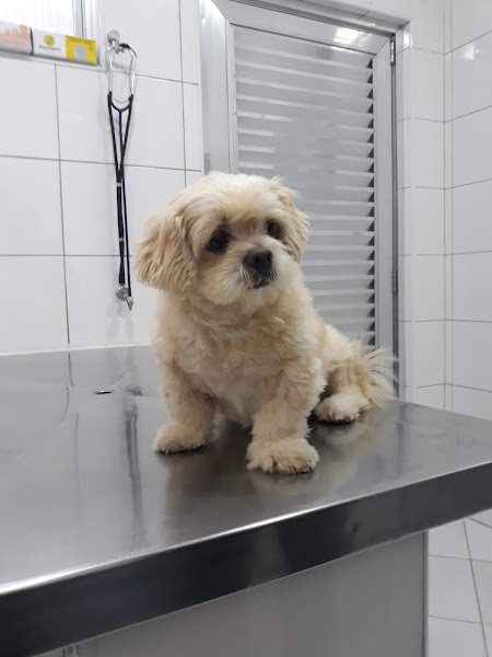 Foto 1 Pet Shop Marajoara