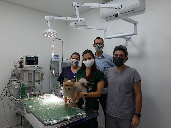 Foto 3 Hospital veterinário Santana