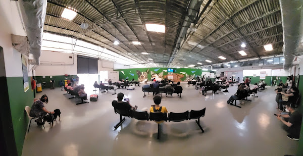 Hospital Publico Veterinário - Cães e gatos