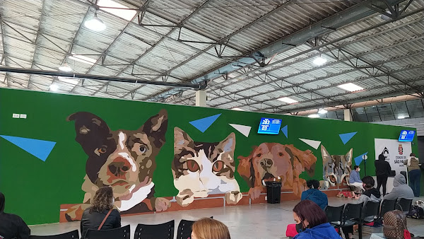 Foto 4 Hospital Publico Veterinário - Cães e gatos