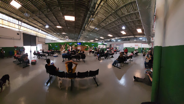 Foto 5 Hospital Publico Veterinário - Cães e gatos