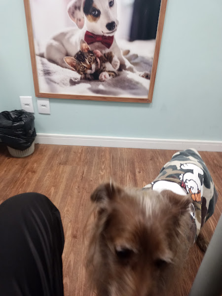 Foto 1 Animal Farma - Farmácia de Manipulação Veterinária Unidade Moema São Paulo/SP