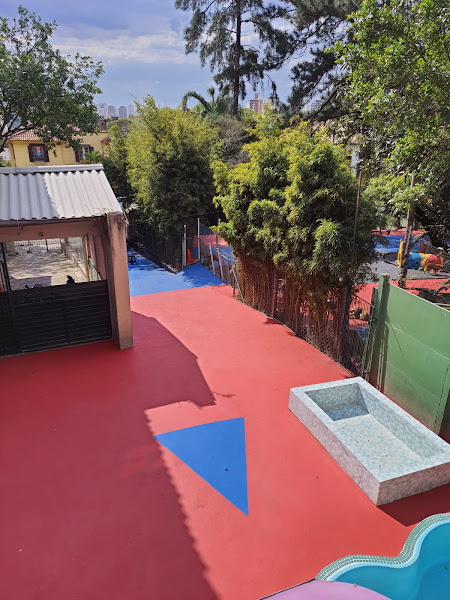 Dog Walter Obedience