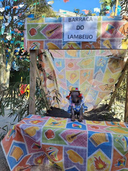 Foto 2 Dog Walter Obedience