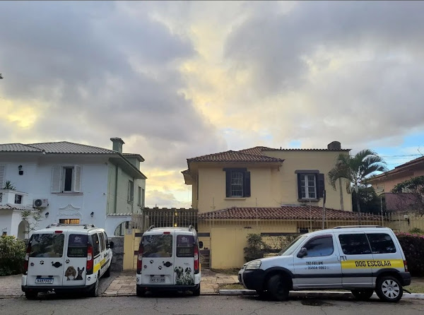 Foto 3 Dog Walter Obedience