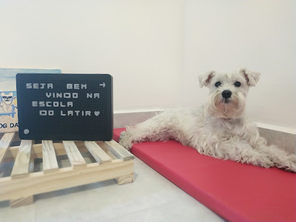 Foto 3 Escola do Latir Creche, Hotel para cachorro