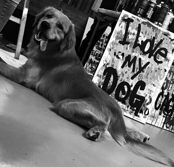 Foto 3 Dog's & Cattz PetShop