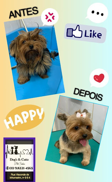 Foto 4 Dog's & Cattz PetShop