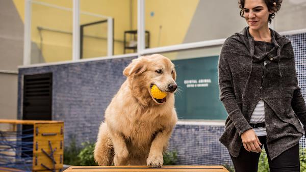 Foto 1 Quintal caotry club