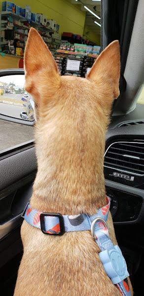 Foto 1 Consulado da Ração