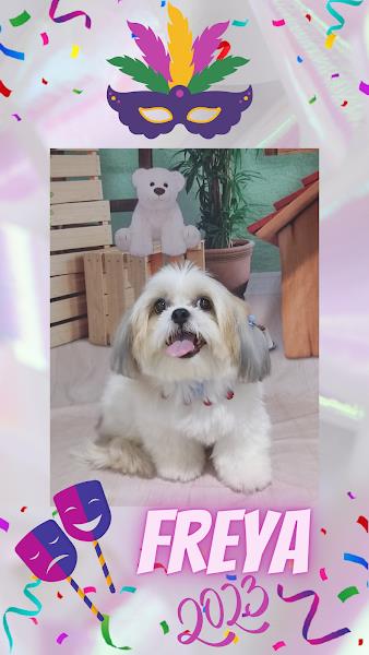 Foto 4 Hora da Ração !