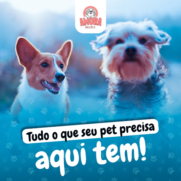 Foto 3 Amora Rações