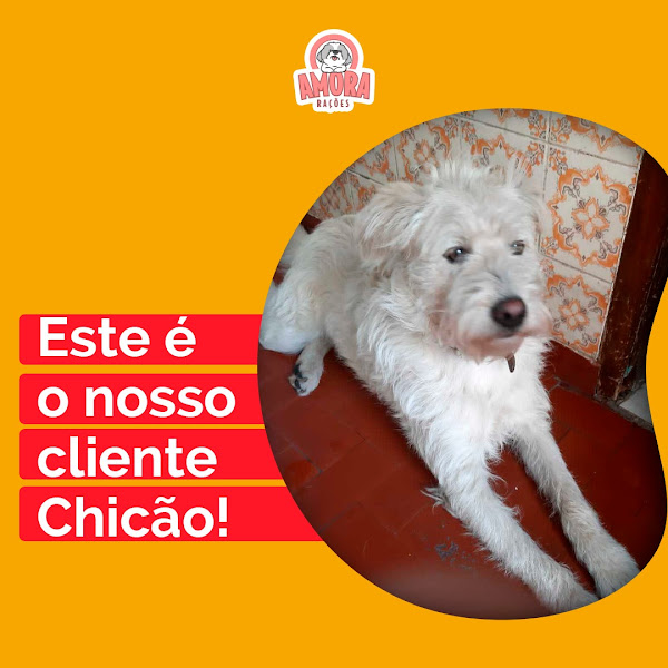 Foto 5 Amora Rações