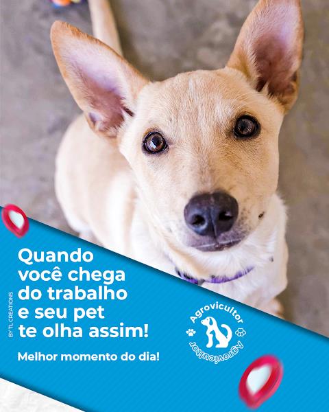 Casa de Rações Vila Remo Casa de Rações Vila Remo