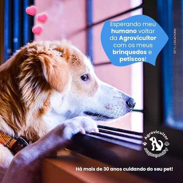 Foto 1 Casa de Rações Vila Remo