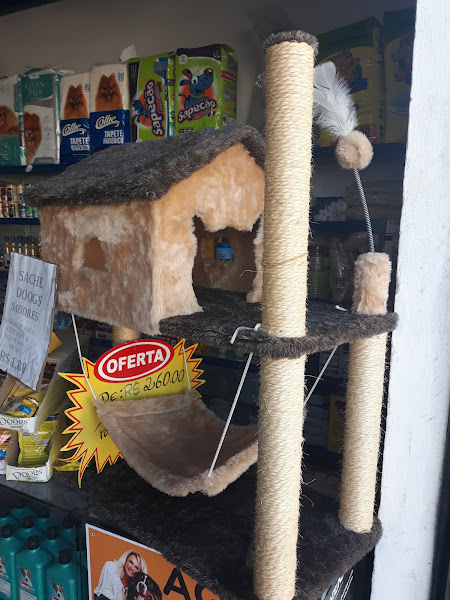 Foto 2 Casa de Rações Vila Remo