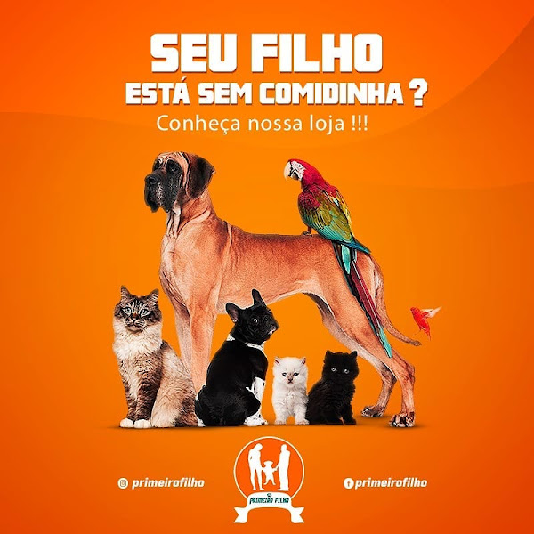Foto 1 Primeiro Filho Casa de Ração e Acessórios Pet