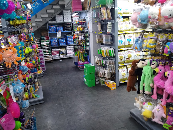 Foto 1 Dog's Day - Celso Garcia Tatuapé