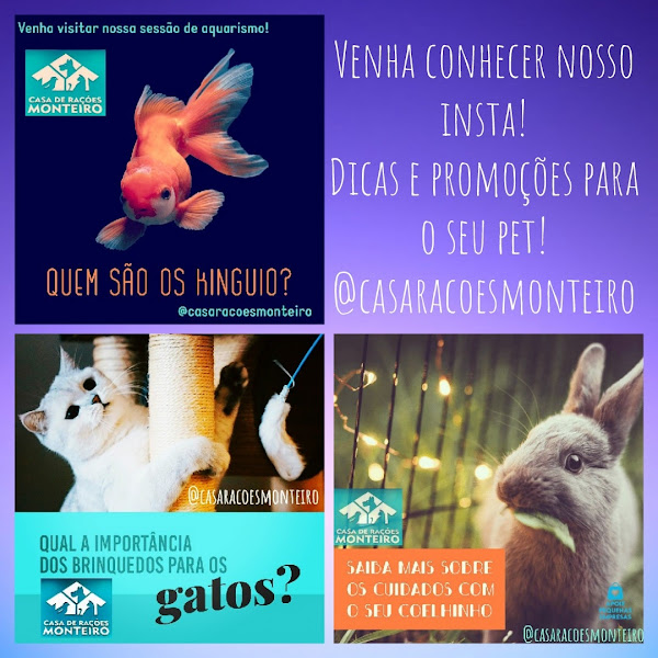 Foto 2 Casa de Rações Monteiro