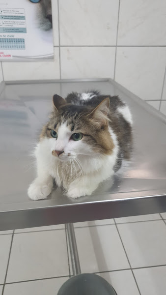 Foto 2 ARMAZÉM DE BICHOS