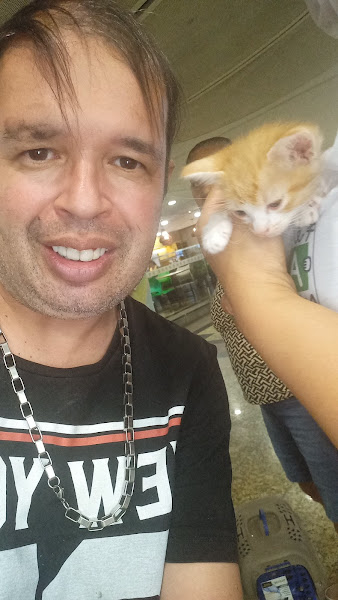 Foto 2 Cães, Gatos e Cia