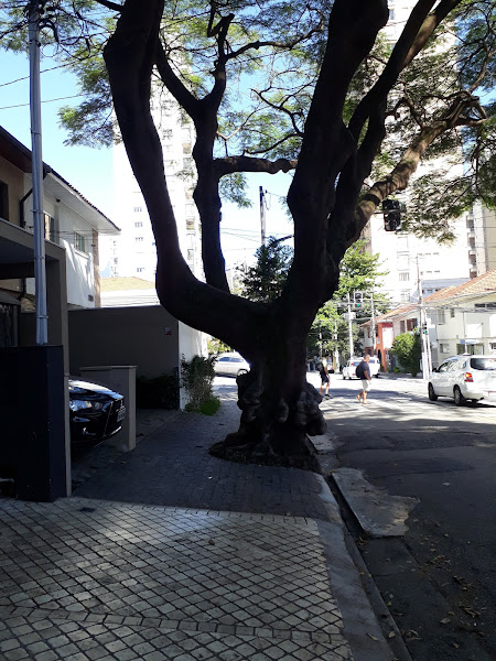 Foto 1 Reflexos Vidros