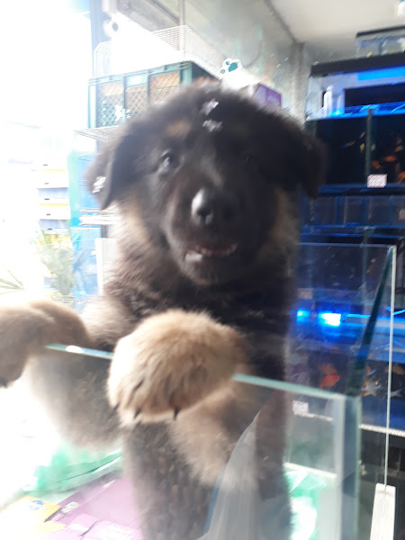 Foto 3 Casa Rações