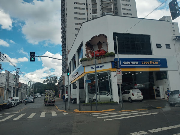 Bosch Car Service - Mecânica do Gato
