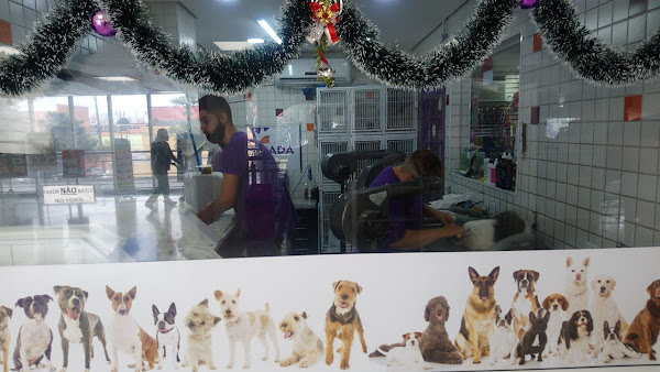 Foto 5 Alvorada Pet Shop