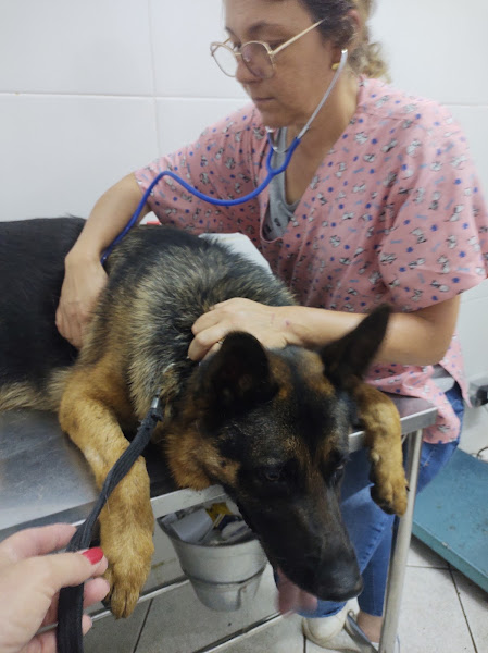 Foto 6 Zôô Center - Rio Bonito