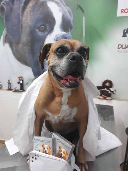 Veterinária Duas Irmãs