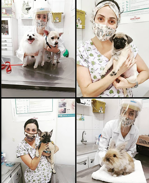 Foto 2 Veterinária Duas Irmãs