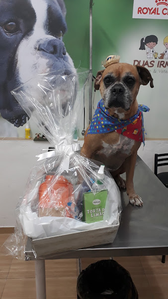 Foto 3 Veterinária Duas Irmãs