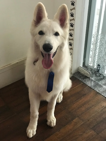 Foto 1 Pequenos e Grandes