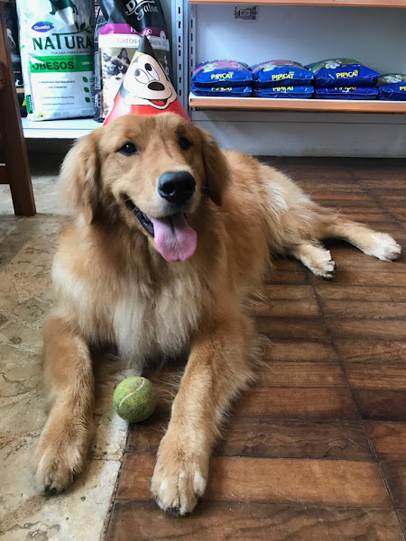 Foto 2 Pequenos e Grandes