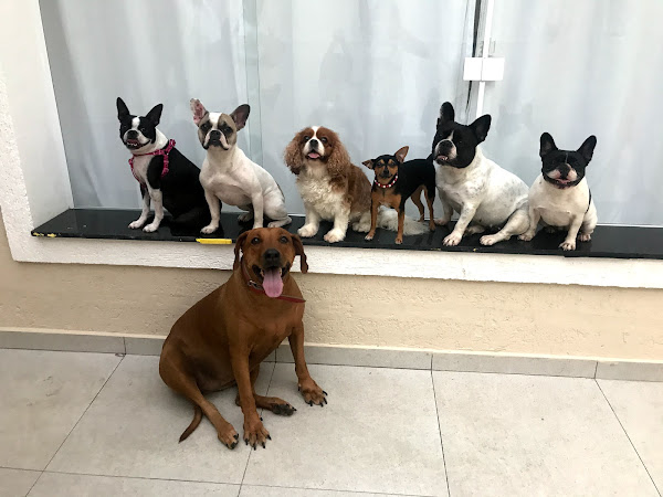 Foto 4 Pequenos e Grandes