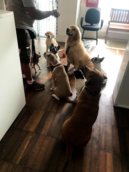 Foto 5 Pequenos e Grandes