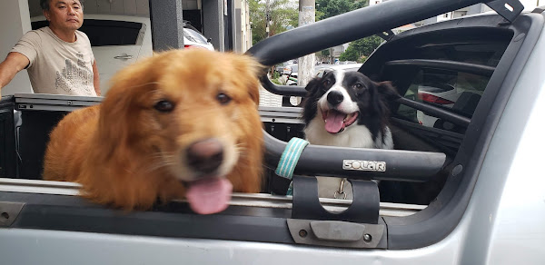 Fofinho Veterinário e Petshop Unidade Vila Matilde