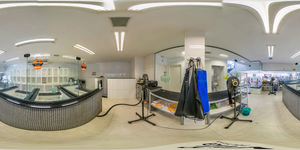 Foto 2 Fofinho Veterinário e Petshop Unidade Vila Matilde