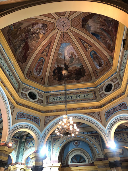 Dental Esthetic & Health - Dentistas