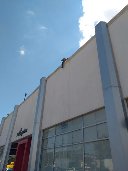 Foto 4 Pellegrino Distribuidora de Autopeças - São Paulo Oeste