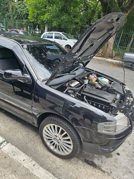 Senna Auto Elétrico