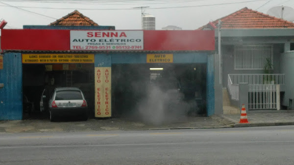 Foto 2 Senna Auto Elétrico