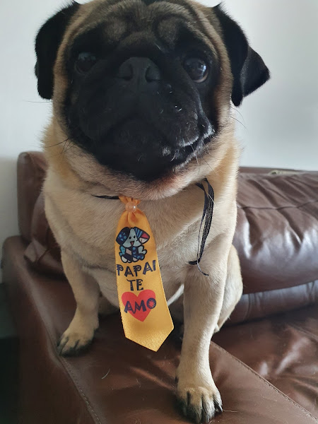 Foto 2 Clinica Veterinária Pericão