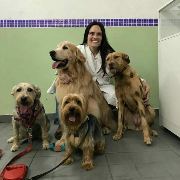 Foto 4 Clínica Veterinária e Pet Shop Dra. Bia