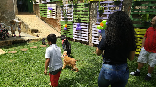 Foto 5 Clínica Veterinária e Pet Shop Dra. Bia