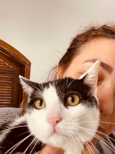 Clínica Veterinária Patrícia Marques