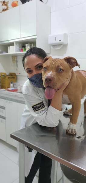 Foto 1 Clínica Veterinária Prevent Vet