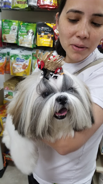 Cemevet Centro Médico Veterinário Cemevet Centro Médico Veterinário